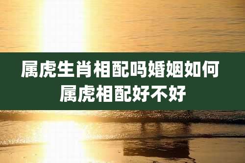 属虎生肖相配吗婚姻如何 属虎相配好不好