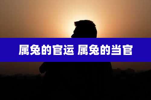 属兔的官运 属兔的当官
