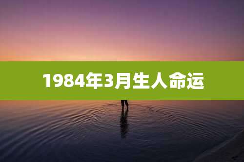 1984年3月生人命运