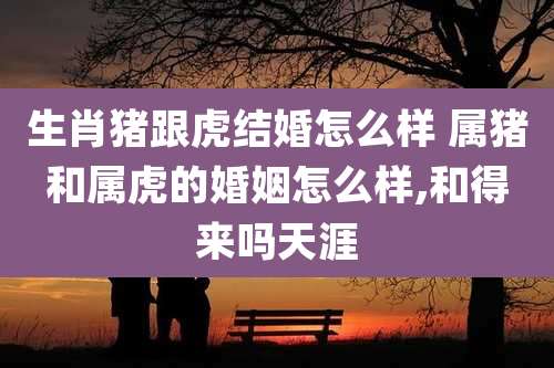 生肖猪跟虎结婚怎么样 属猪和属虎的婚姻怎么样,和得来吗天涯