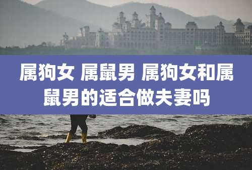 属狗女 属鼠男 属狗女和属鼠男的适合做夫妻吗