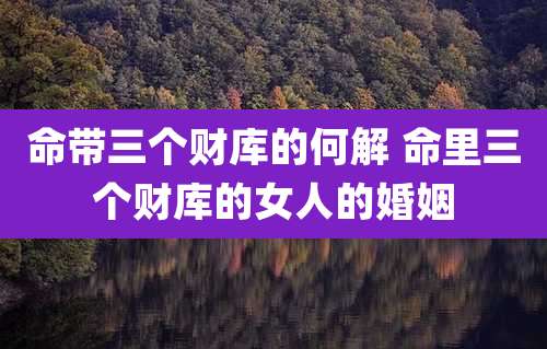 命带三个财库的何解 命里三个财库的女人的婚姻