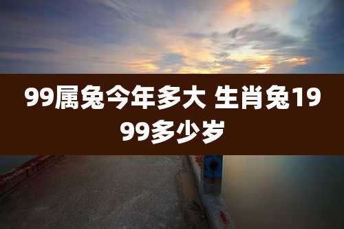 99属兔今年多大 生肖兔1999多少岁