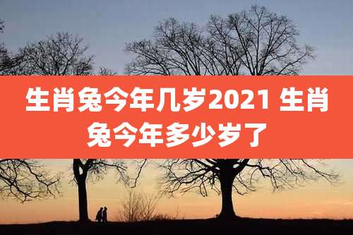 生肖兔今年几岁2021 生肖兔今年多少岁了