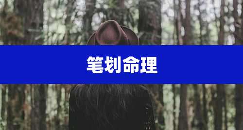 笔划命理