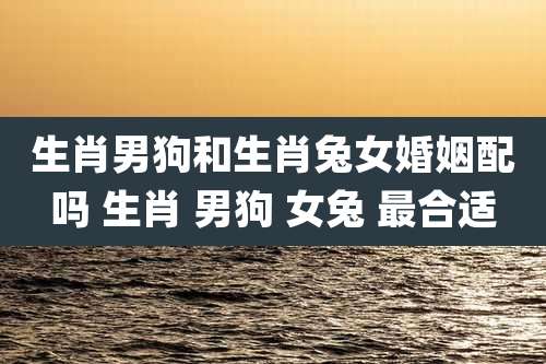 生肖男狗和生肖兔女婚姻配吗 生肖 男狗 女兔 最合适