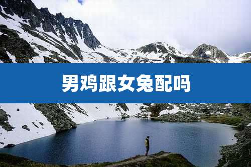 男鸡跟女兔配吗