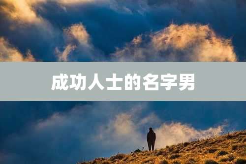 成功人士的名字男