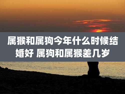 属猴和属狗今年什么时候结婚好 属狗和属猴差几岁