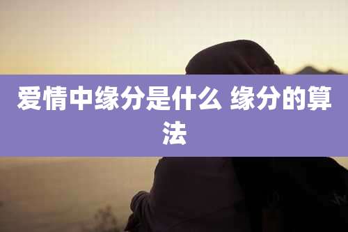 爱情中缘分是什么 缘分的算法