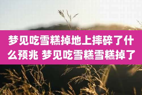 梦见吃雪糕掉地上摔碎了什么预兆 梦见吃雪糕雪糕掉了