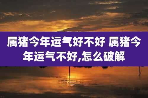属猪今年运气好不好 属猪今年运气不好,怎么破解