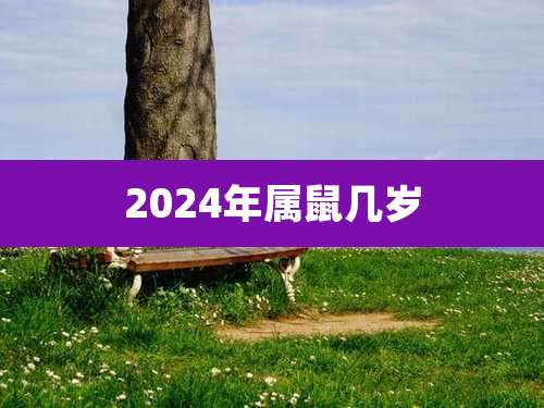2024年属鼠几岁
