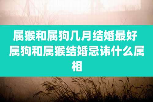 属猴和属狗几月结婚最好 属狗和属猴结婚忌讳什么属相