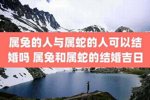 属兔的人与属蛇的人可以结婚吗 属兔和属蛇的结婚吉日