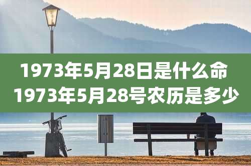 1973年5月28日是什么命 1973年5月28号农历是多少