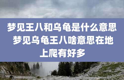梦见王八和乌龟是什么意思 梦见乌龟王八啥意思在地上爬有好多