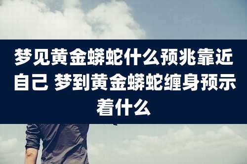 梦见黄金蟒蛇什么预兆靠近自己 梦到黄金蟒蛇缠身预示着什么