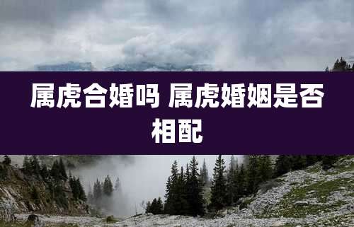 属虎合婚吗 属虎婚姻是否相配