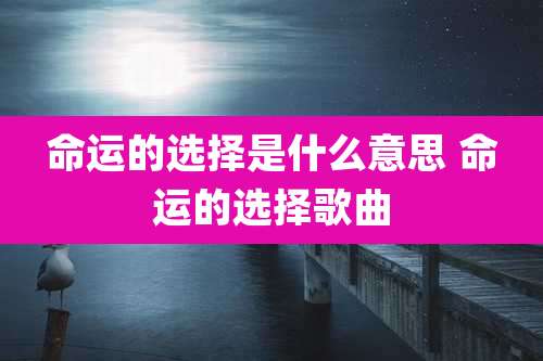 命运的选择是什么意思 命运的选择歌曲