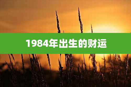 1984年出生的财运