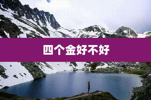 四个金好不好