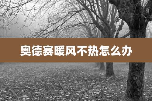 奥德赛暖风不热怎么办