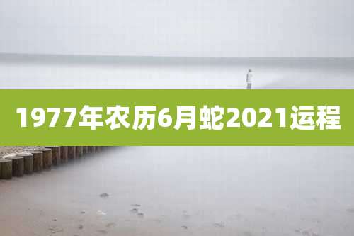 1977年农历6月蛇2021运程