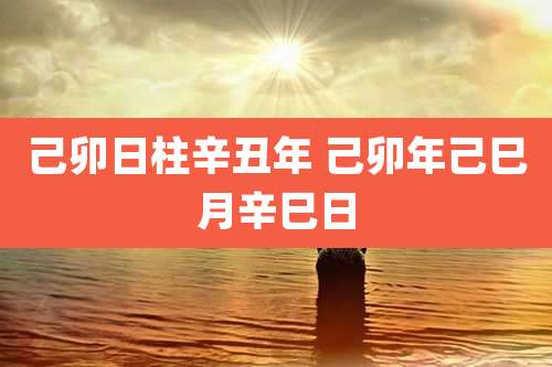 己卯日柱辛丑年 己卯年己巳月辛巳日