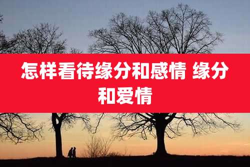怎样看待缘分和感情 缘分和爱情