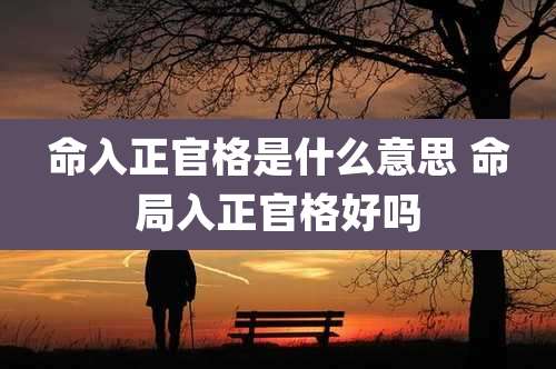命入正官格是什么意思 命局入正官格好吗