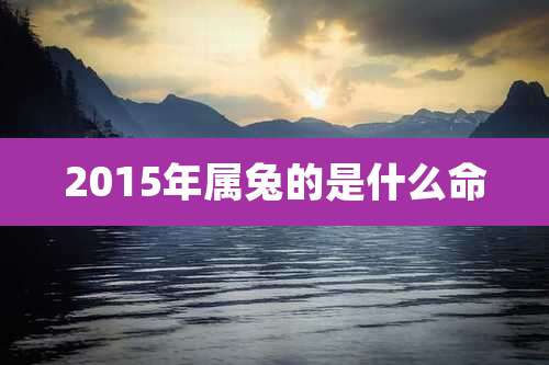 2015年属兔的是什么命