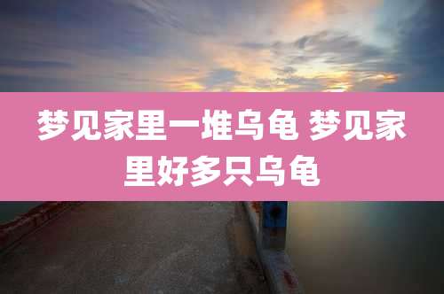 梦见家里一堆乌龟 梦见家里好多只乌龟