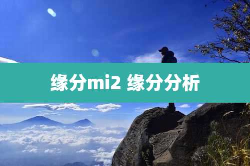 缘分mi2 缘分分析