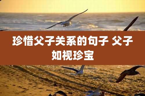 珍惜父子关系的句子 父子如视珍宝