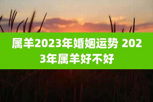 属羊2023年婚姻运势 2023年属羊好不好