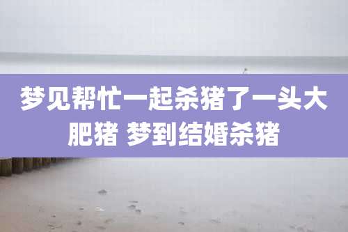 梦见帮忙一起杀猪了一头大肥猪 梦到结婚杀猪