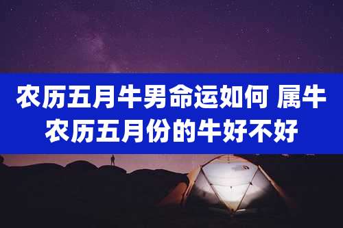农历五月牛男命运如何 属牛农历五月份的牛好不好