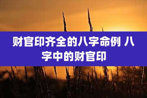 财官印齐全的八字命例 八字中的财官印