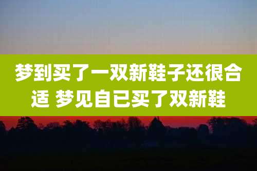 梦到买了一双新鞋子还很合适 梦见自已买了双新鞋