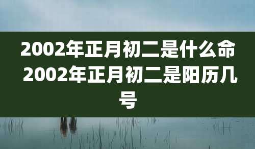 2002年正月初二是什么命 2002年正月初二是阳历几号