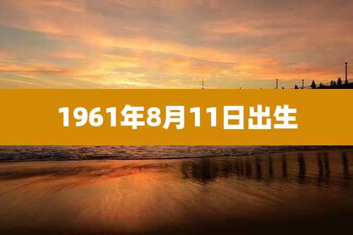 1961年8月11日出生