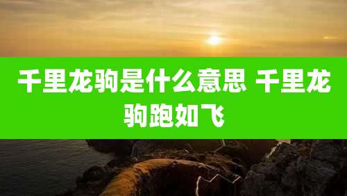 千里龙驹是什么意思 千里龙驹跑如飞