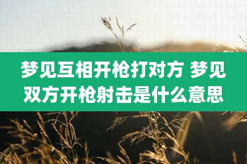 梦见互相开枪打对方 梦见双方开枪射击是什么意思