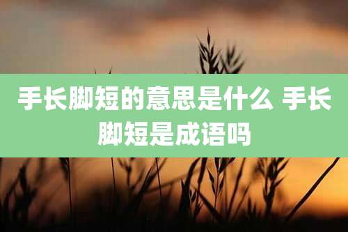 手长脚短的意思是什么 手长脚短是成语吗