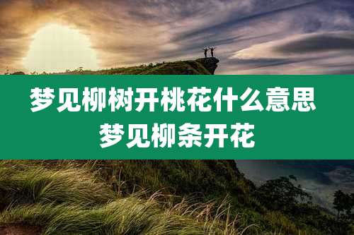 梦见柳树开桃花什么意思 梦见柳条开花