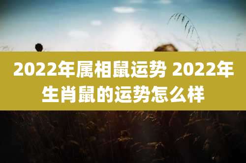 2022年属相鼠运势 2022年生肖鼠的运势怎么样