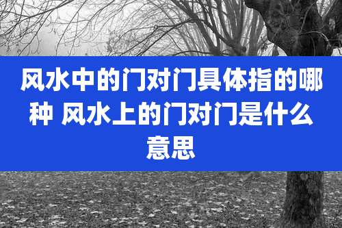 风水中的门对门具体指的哪种 风水上的门对门是什么意思
