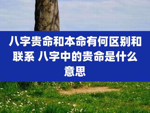 八字贵命和本命有何区别和联系 八字中的贵命是什么意思