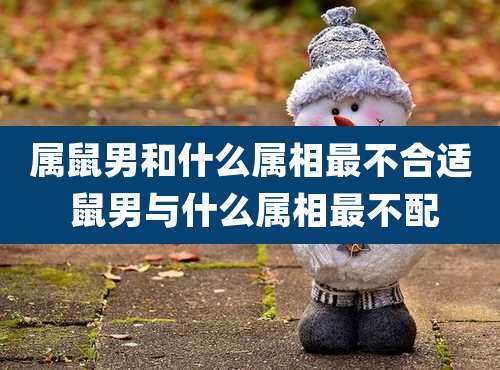 属鼠男和什么属相最不合适 鼠男与什么属相最不配